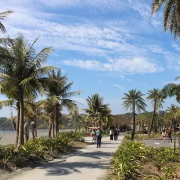 A walkway along the beach lined with palm trees in Cijin Island in Kaohsiung, Taiwan.