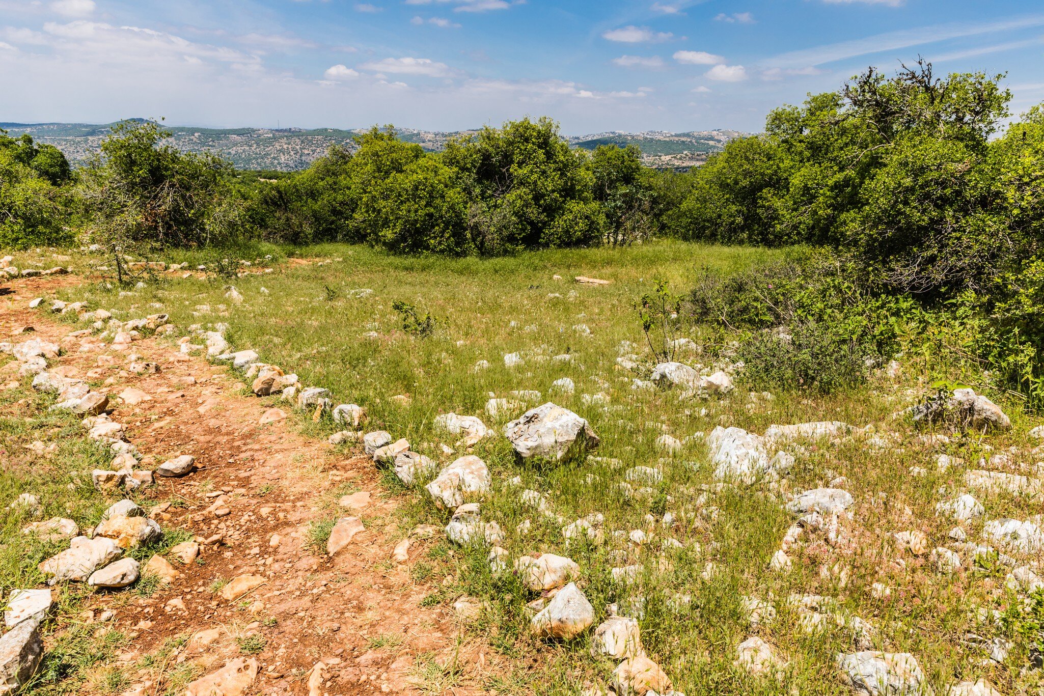 View from the Roe Deer Trail in The Ajloun Forest Reserve; Shutterstock ID 1456307870;
