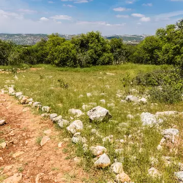View from the Roe Deer Trail in The Ajloun Forest Reserve; Shutterstock ID 1456307870;