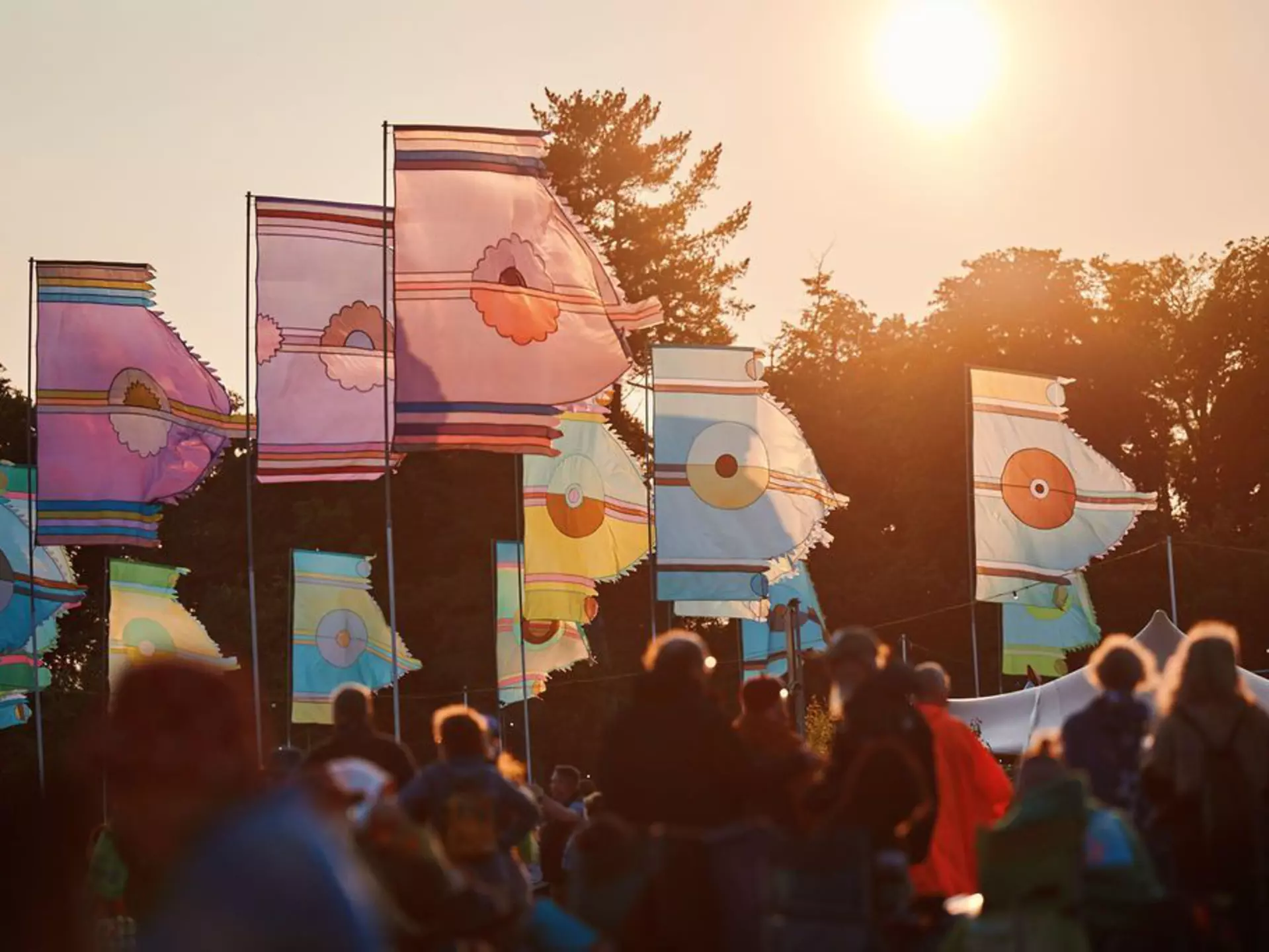 Flags at sunset at the British music festival WOMAD