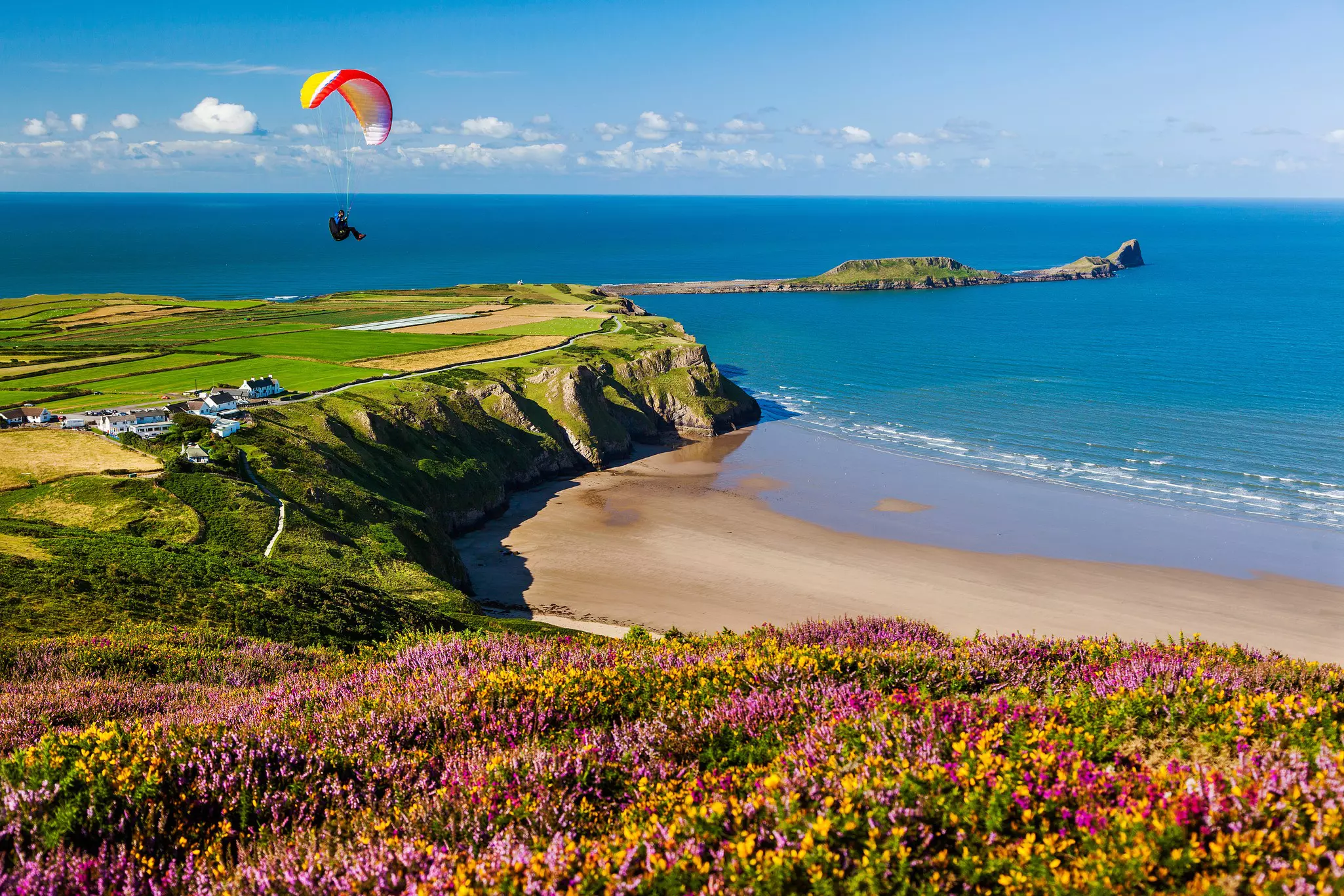 A parachute flies over a sandy bay backed by purple heather and yellow wildflowers