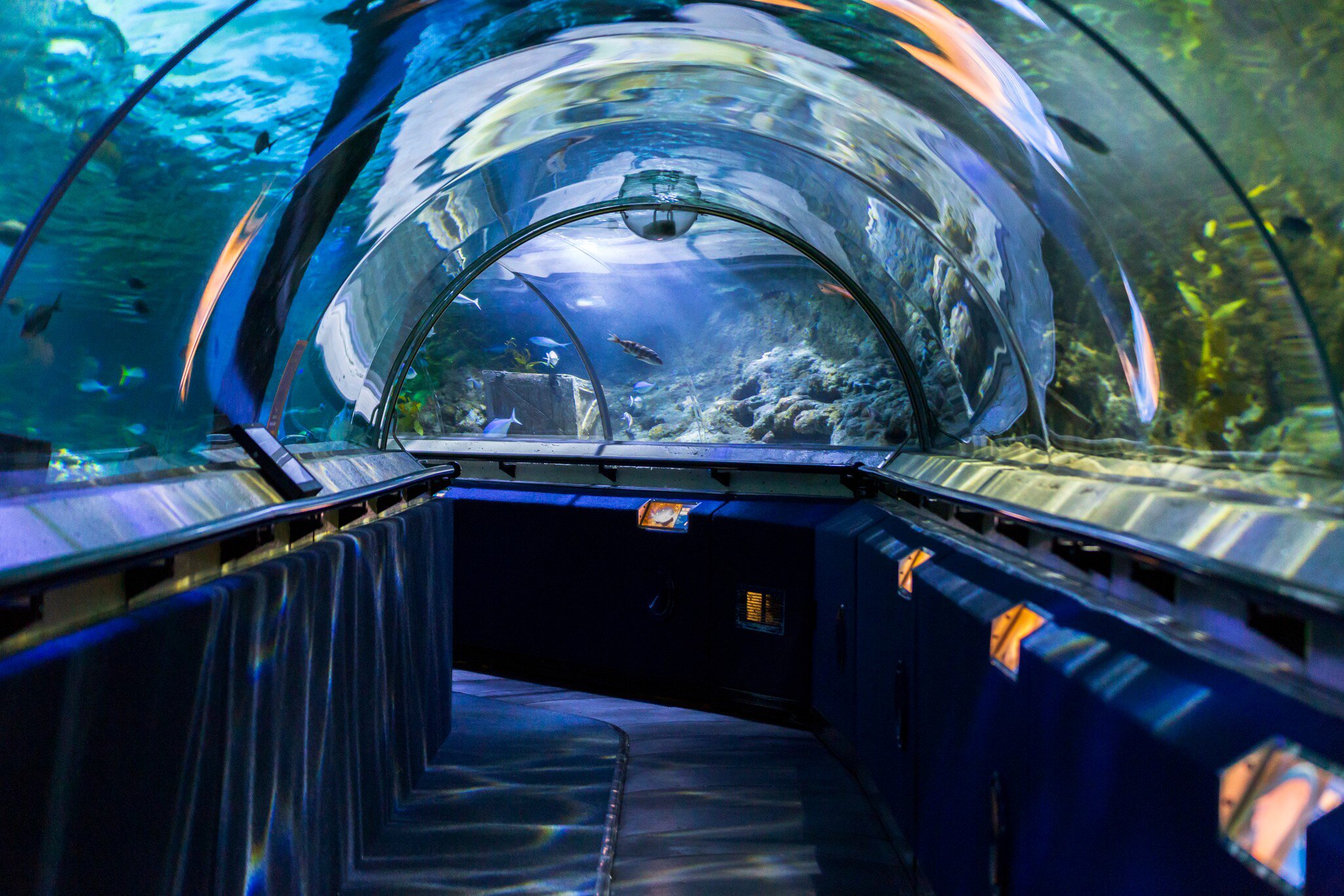 View down a transparent tunnel at Sea Life Kelly Tarlton’s Aquarium in Auckland, New Zealand.