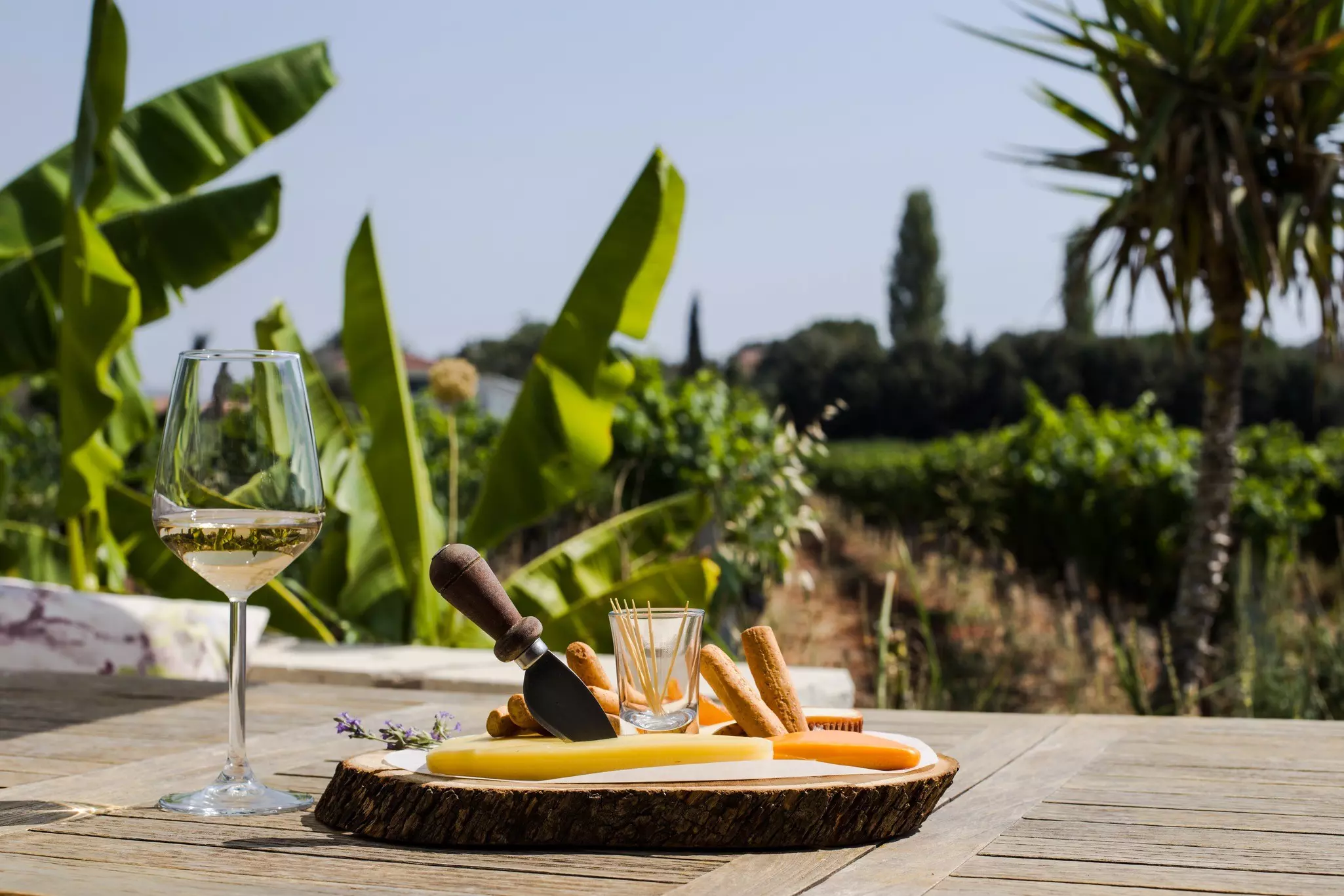 A cheese plate and white wine make for a perfect tasting in Urla © iStock