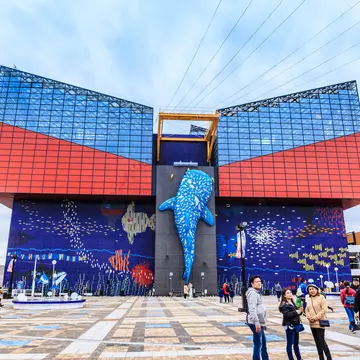 Explore the seas at Osaka Aquarium Kaiyukan. FotoGraphik / Getty Images