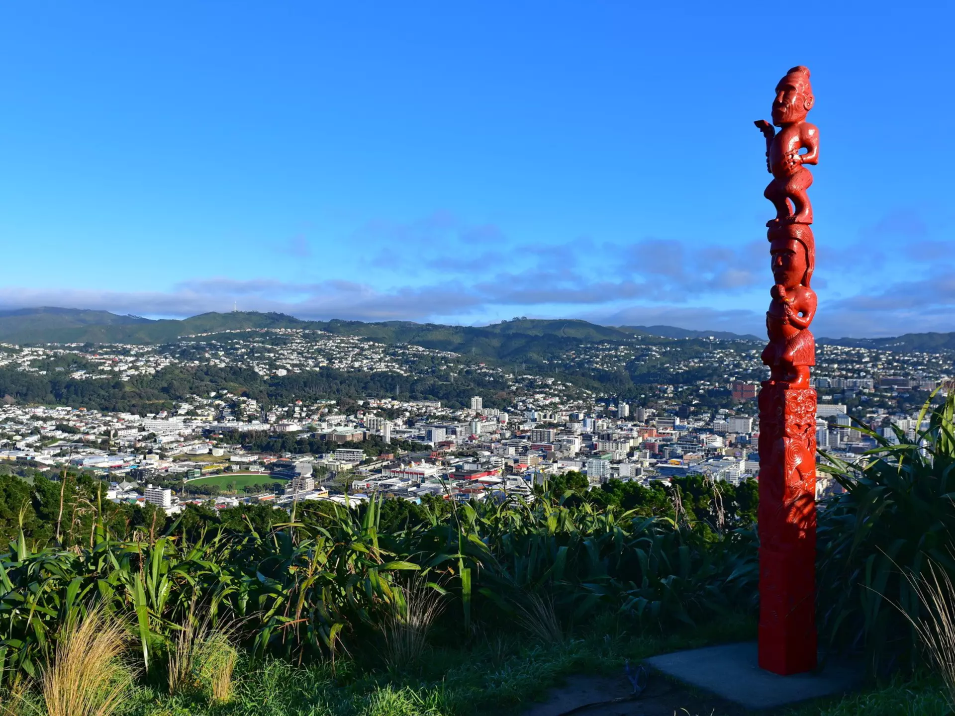 Views over Wellington, New Zealand. Jordan Tan/Shutterstock