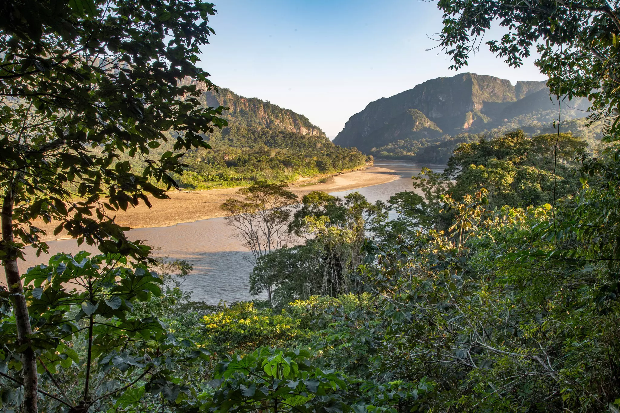 The Beni river in the Madidi national park, Amazon, Bolivia  License