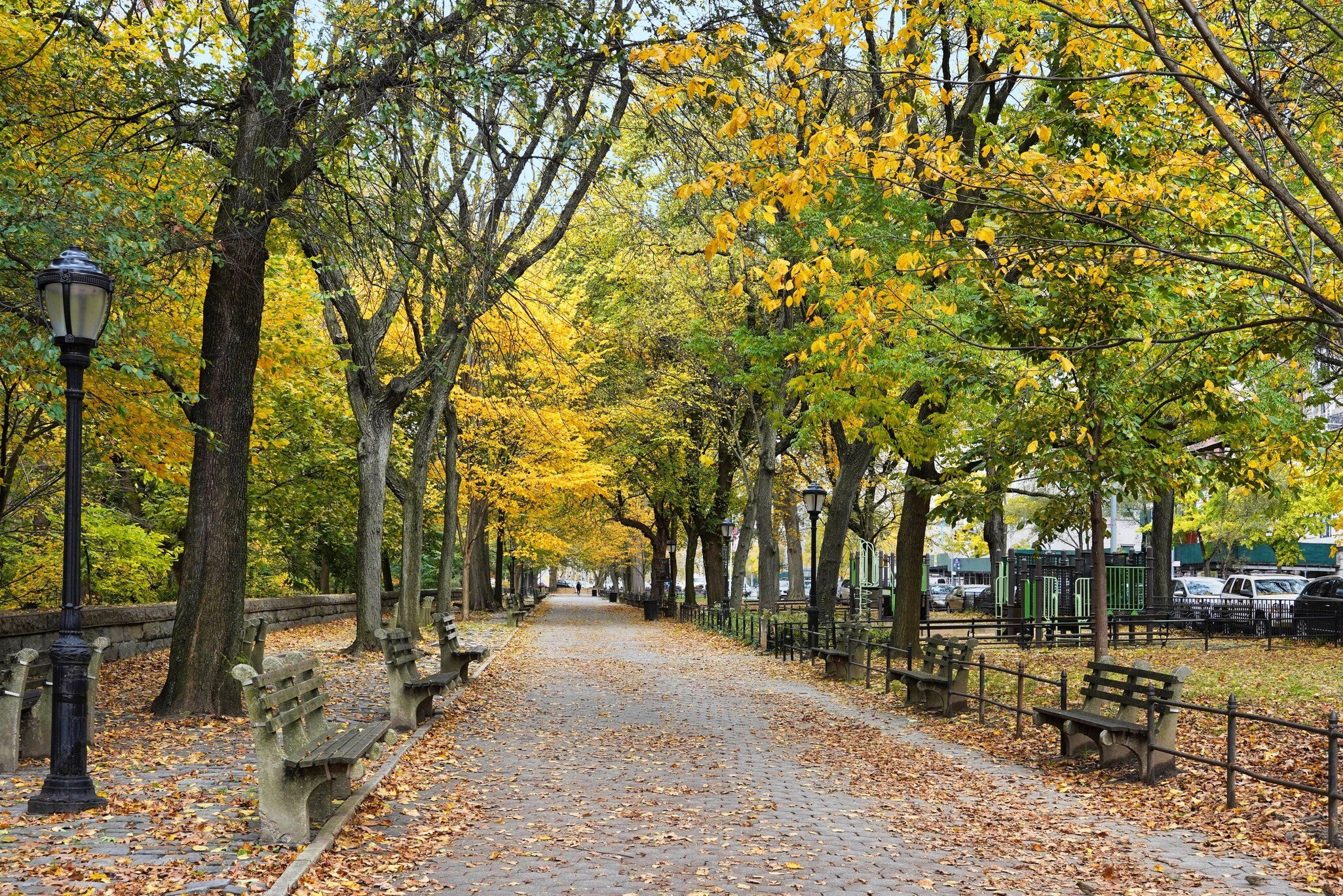 Tree lined sidewalk in northern Manhattan  in Riverside Park, License Type: media, Download Time: 2025-11-26T20:16:04.000Z, User: LP_YKhanna, Editorial: false, purchase_order: 65050 - Digital Destinations and Articles, job: LP, client: App Content, other: Yuvraj Khanna
