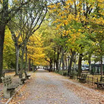 Tree lined sidewalk in northern Manhattan  in Riverside Park, License Type: media, Download Time: 2025-11-26T20:16:04.000Z, User: LP_YKhanna, Editorial: false, purchase_order: 65050 - Digital Destinations and Articles, job: LP, client: App Content, other: Yuvraj Khanna