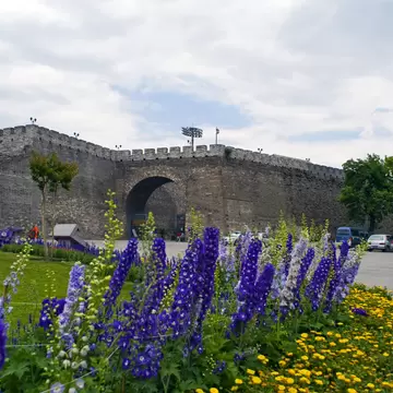 View of the Southeast Corner Watchtower, with purple flowers in foreground, in Beijing, China.