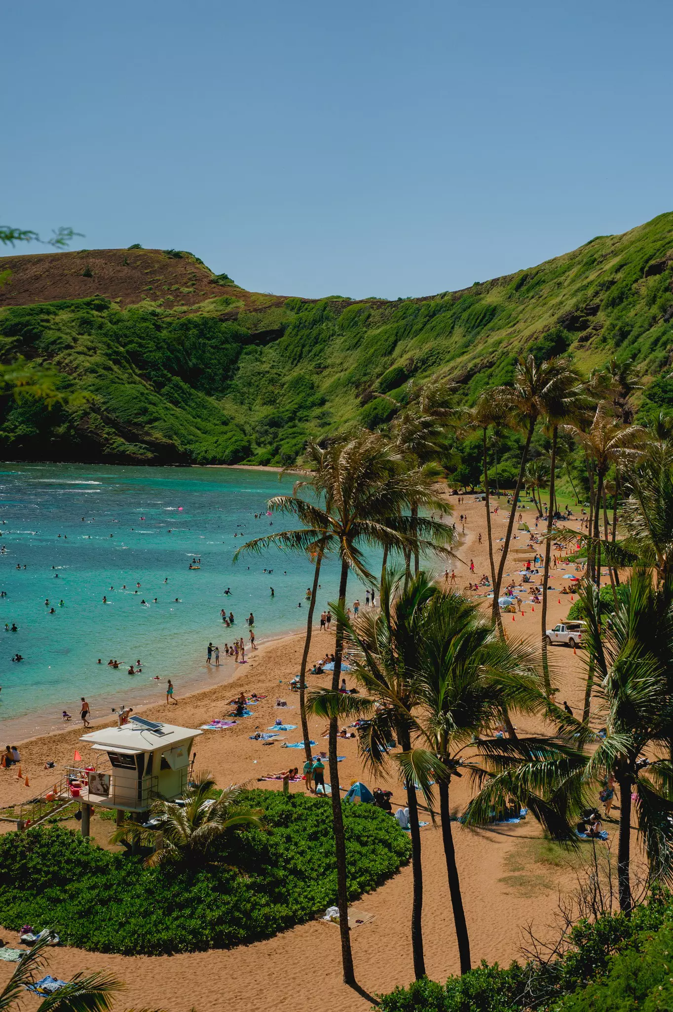 beautiful day at Oahu Hawaii at Hanauma Bay beach nuture preserve with many coconut trees and lots of people at the beach, License Type: media, Download Time: 2025-07-10T16:50:09.000Z, User: rhylton_redventures, Editorial: false, purchase_order: 65050 - Digital Destinations and Articles, job: Lonely Planet, client: wip , other: Rhianydd Hylton