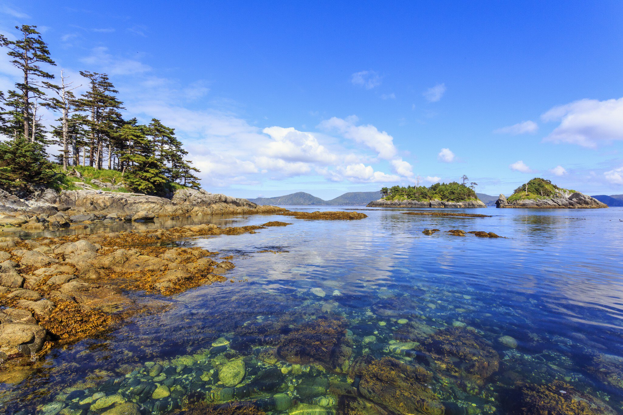 Island Life,  on Sgang Gwaay, Anthony Island,  a UNESCO World Heritage Site, Haida Gwaii National Park Reserve, Queen Charlotte Islands, BC, Canada
