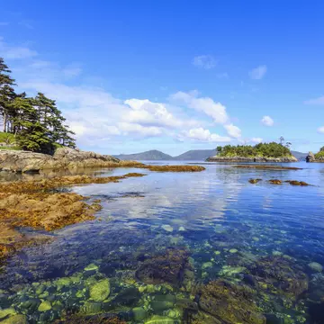 Island Life,  on Sgang Gwaay, Anthony Island,  a UNESCO World Heritage Site, Haida Gwaii National Park Reserve, Queen Charlotte Islands, BC, Canada