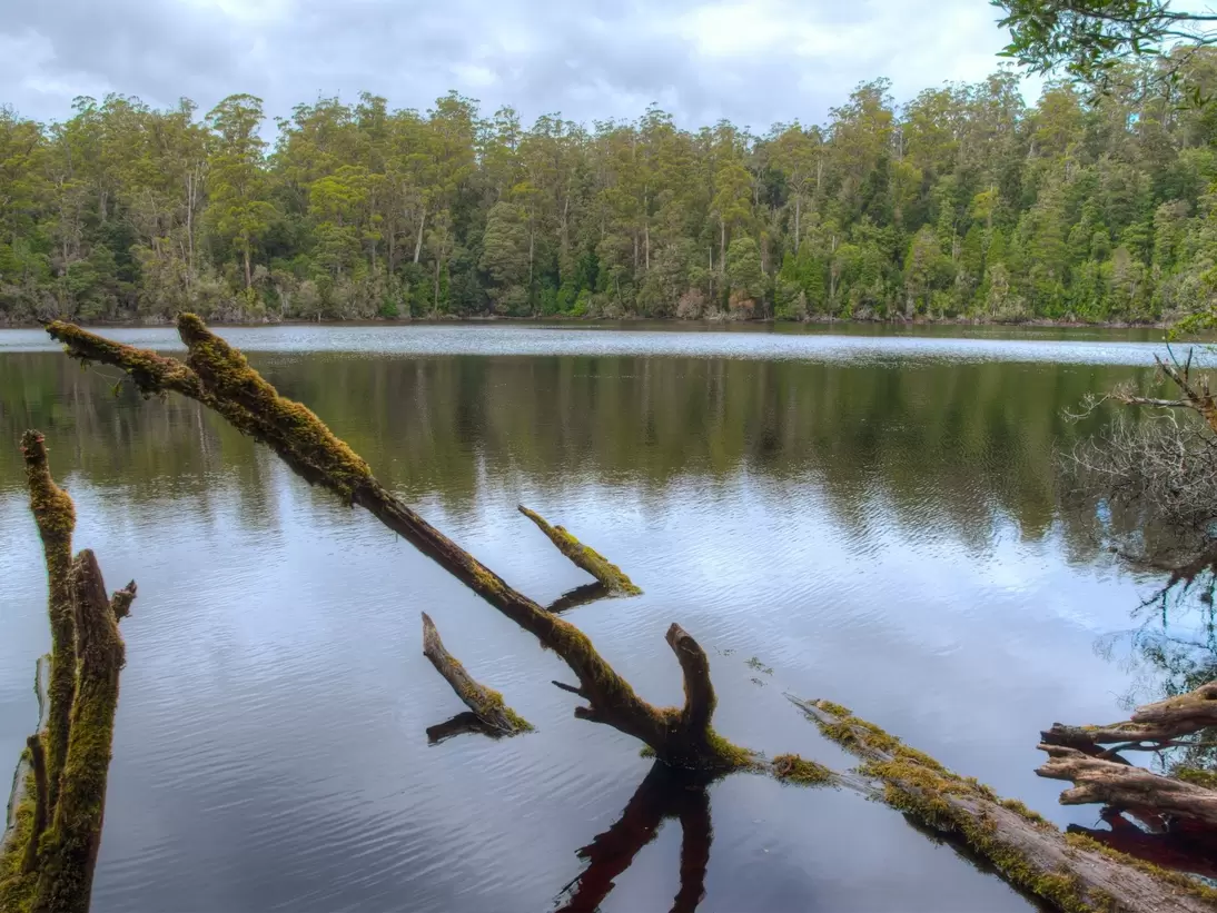 Lake Chisholm at Tarkine forest in Tasmania, Australia.