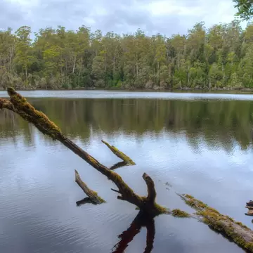 Lake Chisholm at Tarkine forest in Tasmania, Australia.
