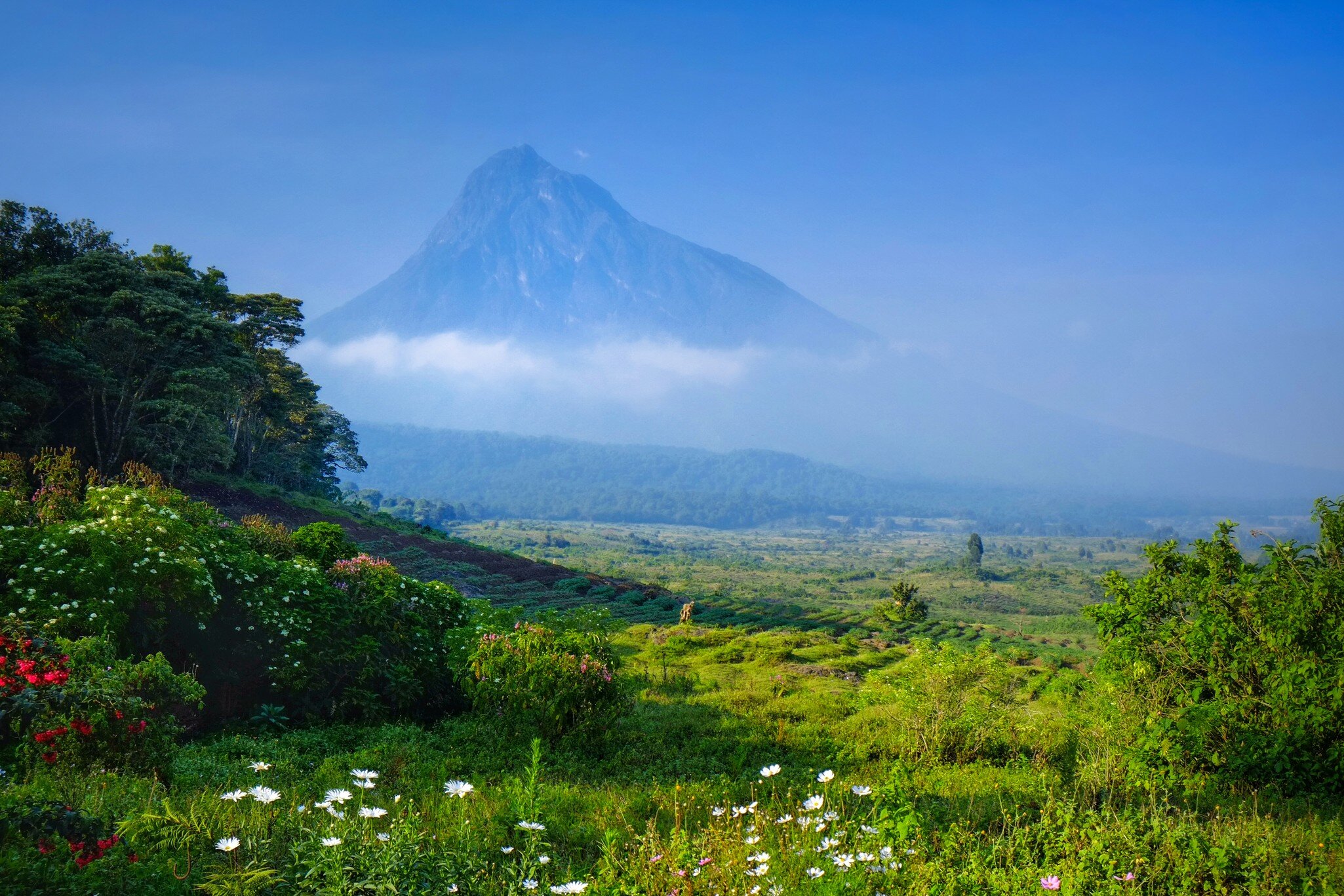 View of a volcano in the Virunga National Park in the Democratic Republic of Congo, Africa; Shutterstock ID 1011260602;