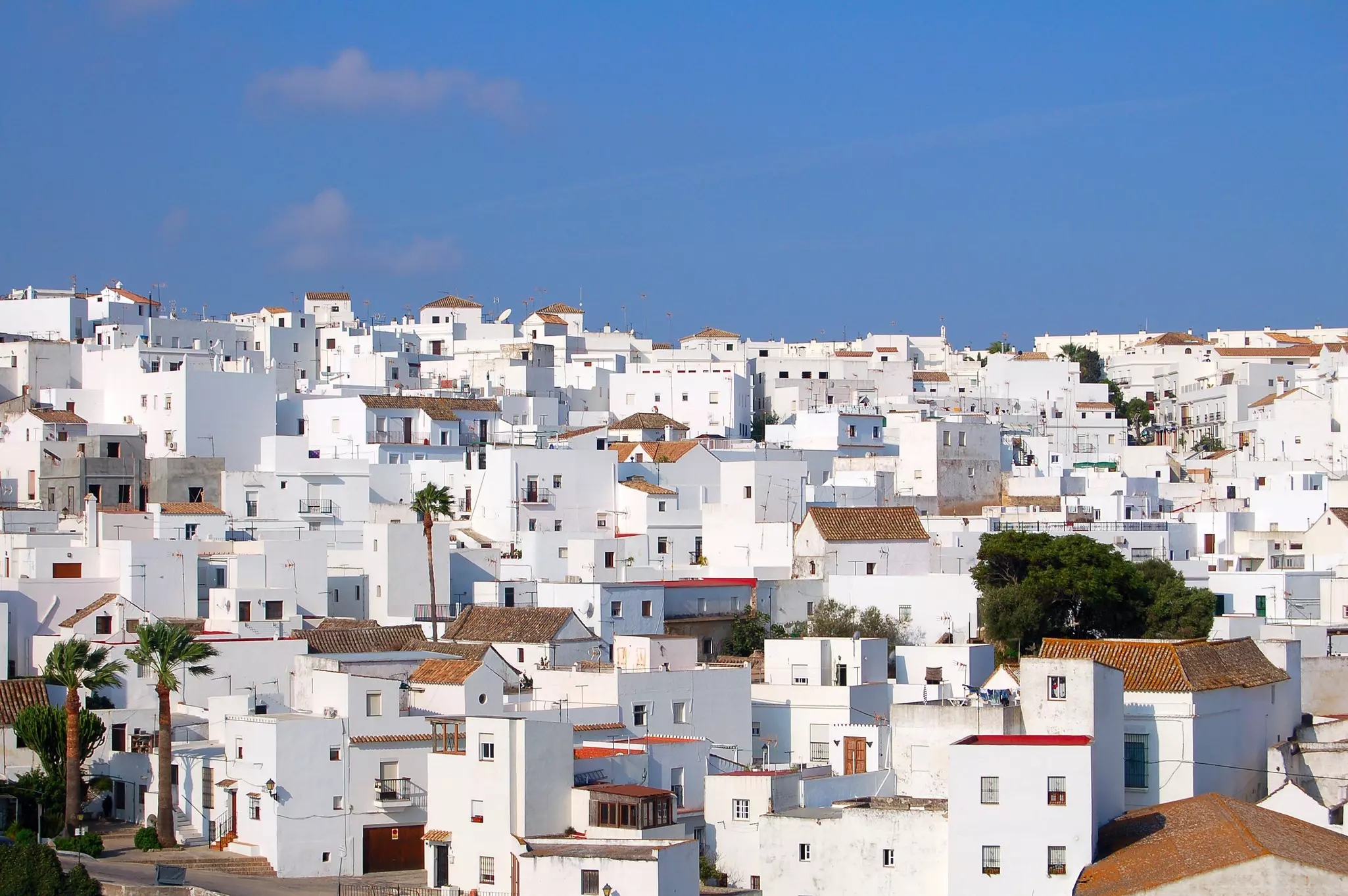 A typical Andalusian whitewashed hilltop village.