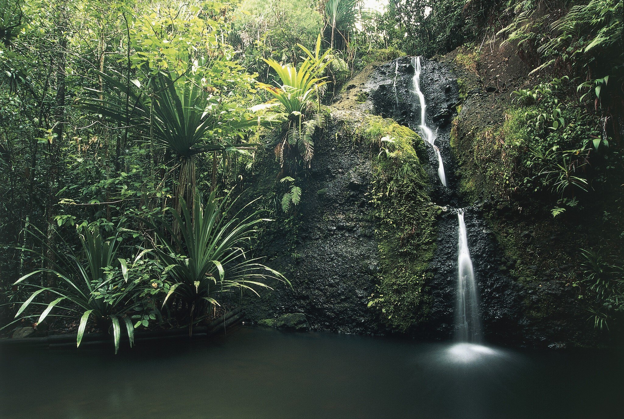 Waterfall in a park, Waisila Falls, Colo-I-Suva Forest Park, Viti Levu, Fiji