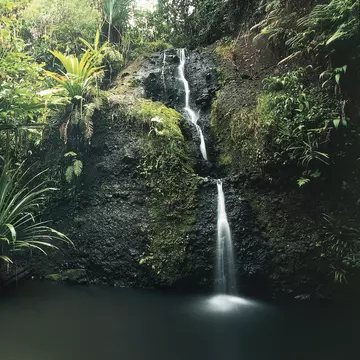 Waterfall in a park, Waisila Falls, Colo-I-Suva Forest Park, Viti Levu, Fiji
