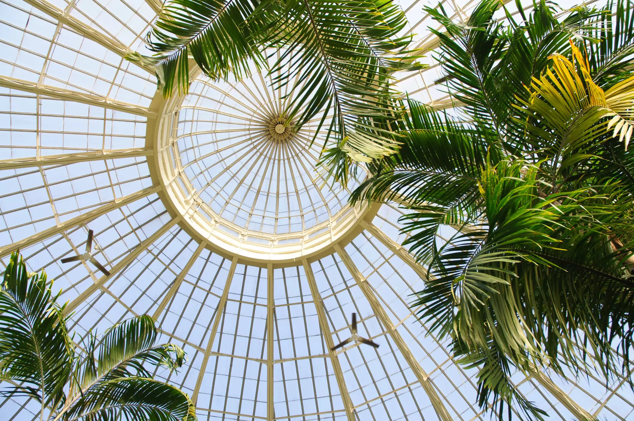 The glass conservatory at New York Botanical Garden