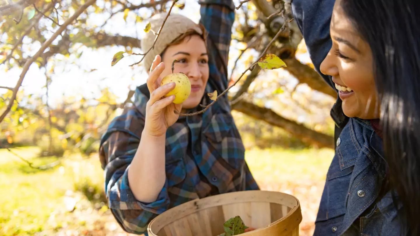 Read this local guide on where to go and what not to do before you visit New York State @ Boogich / Getty Images