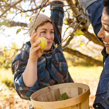 Read this local guide on where to go and what not to do before you visit New York State @ Boogich / Getty Images