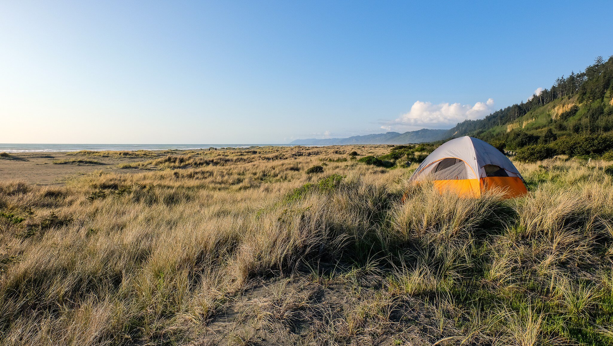 A camping tent at Gold Bluffs in Redwoods National Park.