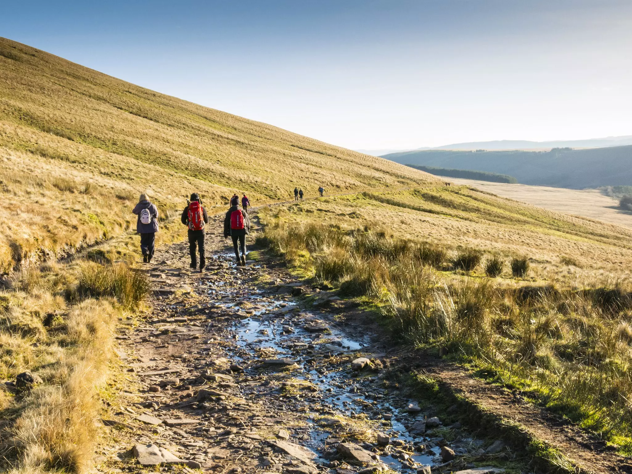 Hikers follow an uneven track through grassland heading downhill