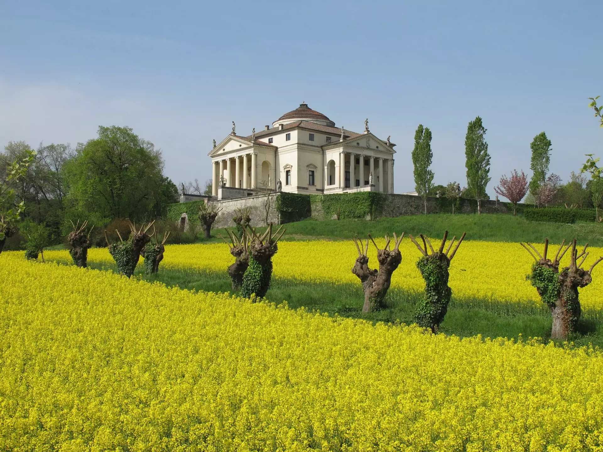 Vicenza's Villa La Rotonda framed by rapeseed flowers in the Veneto, Italy.