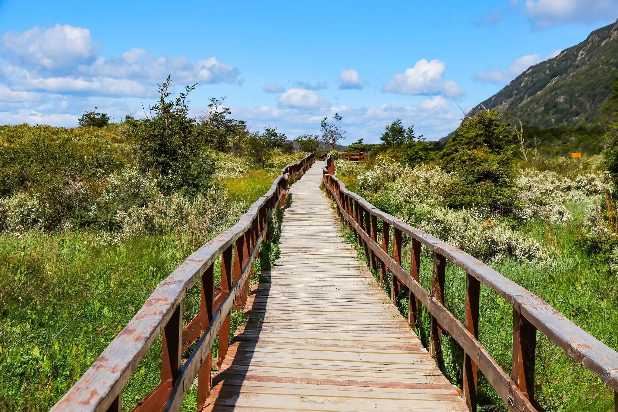 View of a boardwalk pathway in the Tierra del Fuego National Park near Ushuaia in the southernmost point of Argentina.
