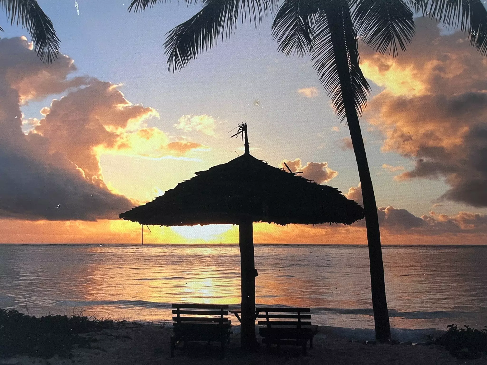 Palm trees and a sunshade on a beach in silhouette as the sunrises out over the ocean