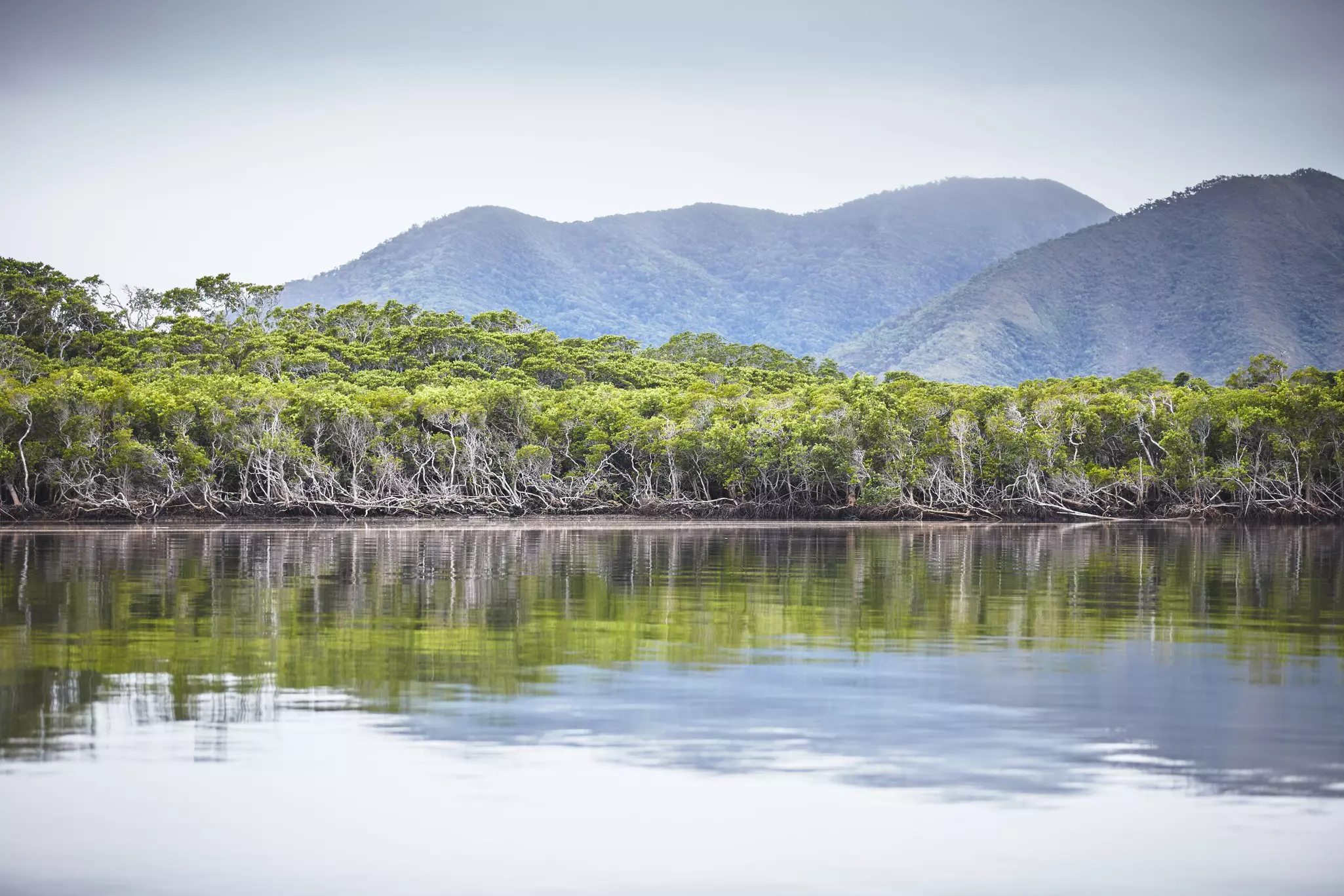 The Endeavour River, named by Captain Cook when he was forced to ground his ship here. Ewen Bell / Lonely Planet