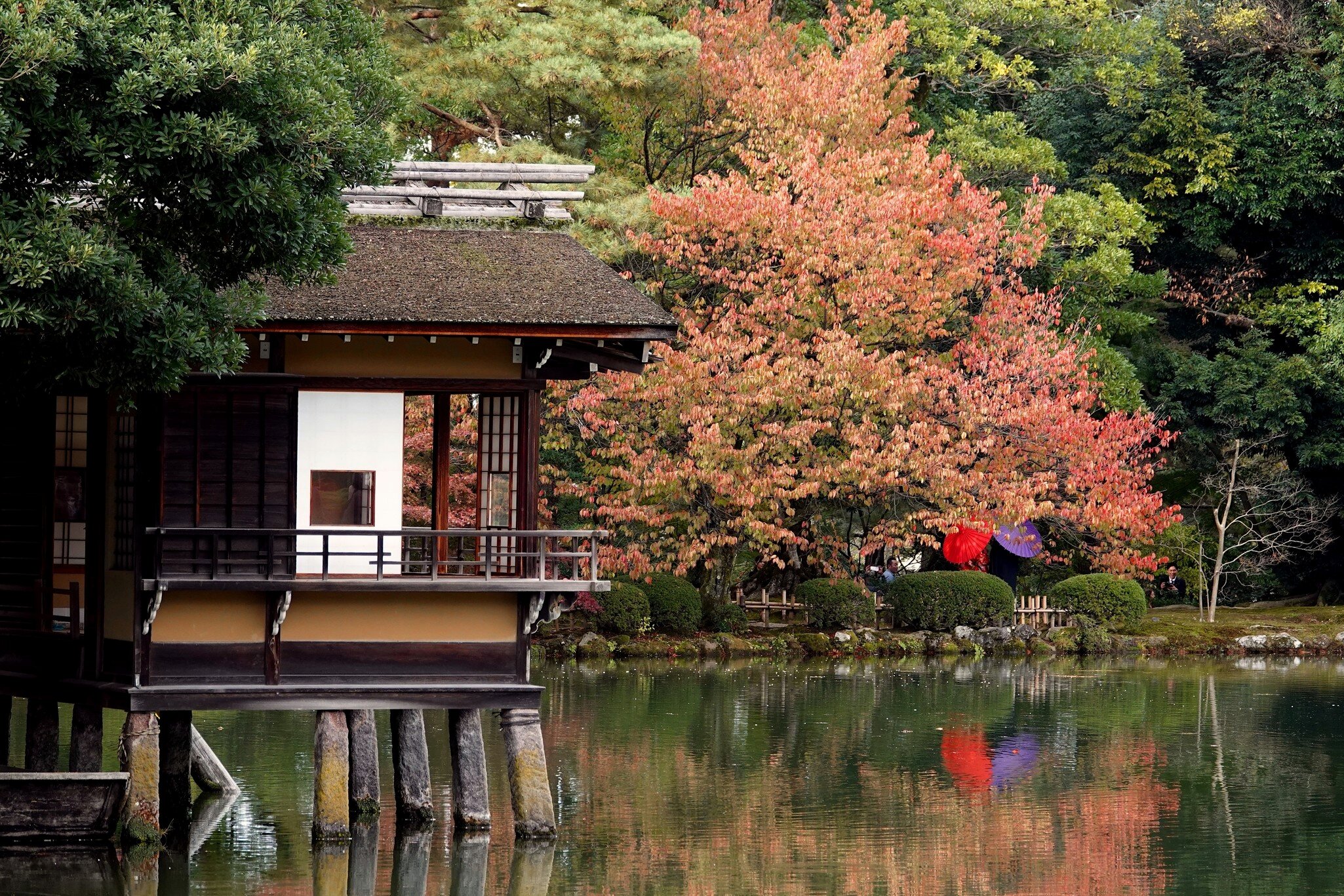 Wooden teahouse on stilts over a pond in Kenroku-en Garden, Kanazawa, with red autumn foliage beyond