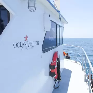 A view of of the Ocean Institute sign on the side of a whale watching boat.