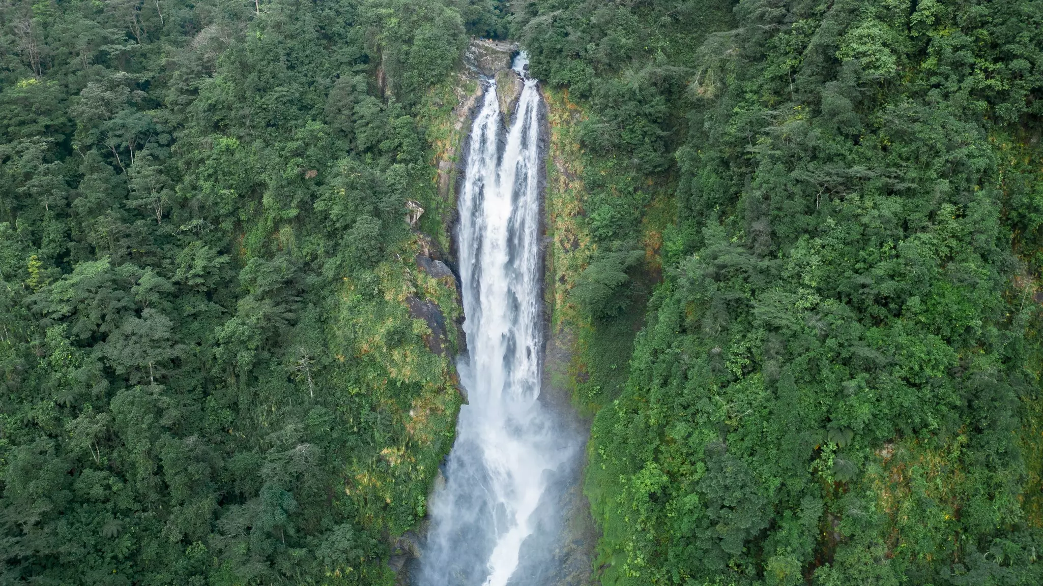 A towering waterfall cuts through the rainforest in Barbilla National Park, Costa Rica.