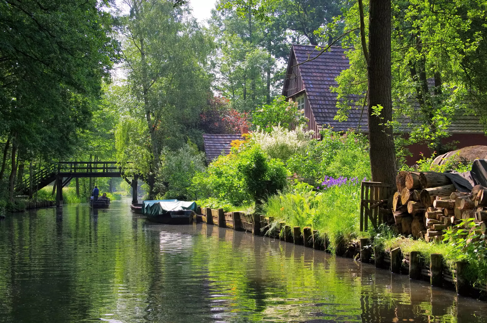 Spreewald is occasionally referred to as Germany’s Little Venice © LianeM / Shutterstock