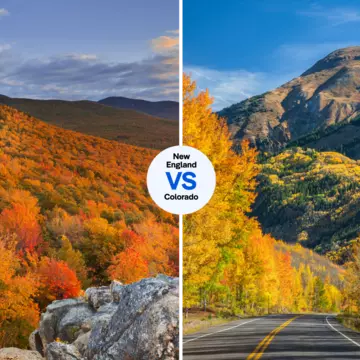 New England Vs Colorado.png