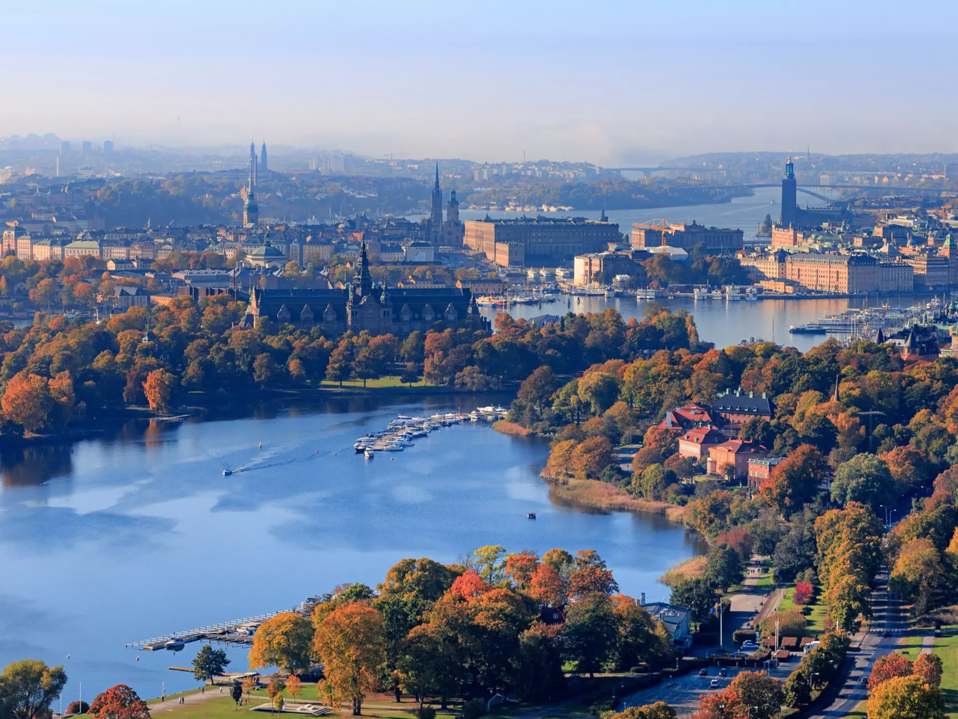 Leaves turning across Stockholm. Maria Swärd/Getty Images