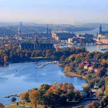 Leaves turning across Stockholm. Maria Swärd/Getty Images