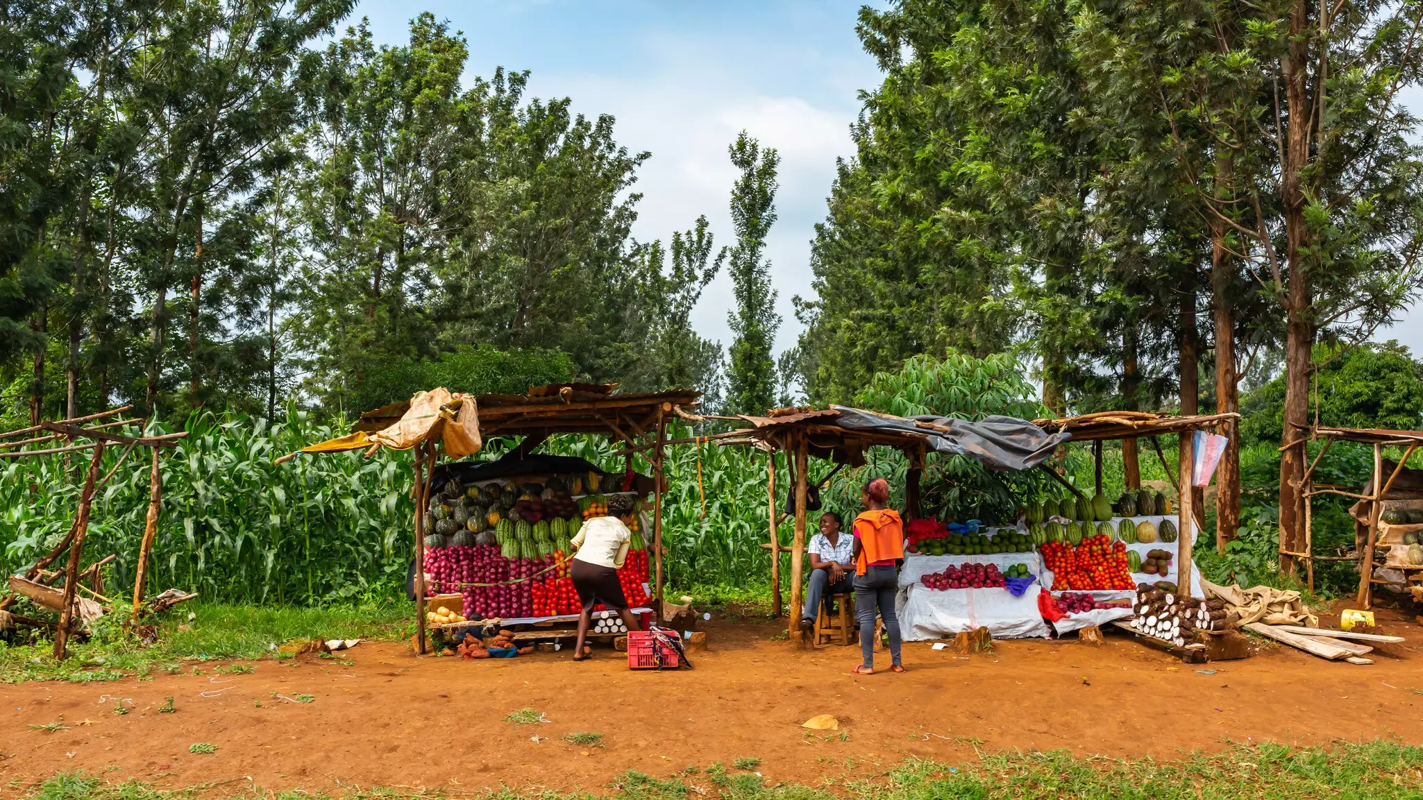 A fruit market stall on the side of the Nairobi Highway (A2) © Jordon Sharp / Shutterstock