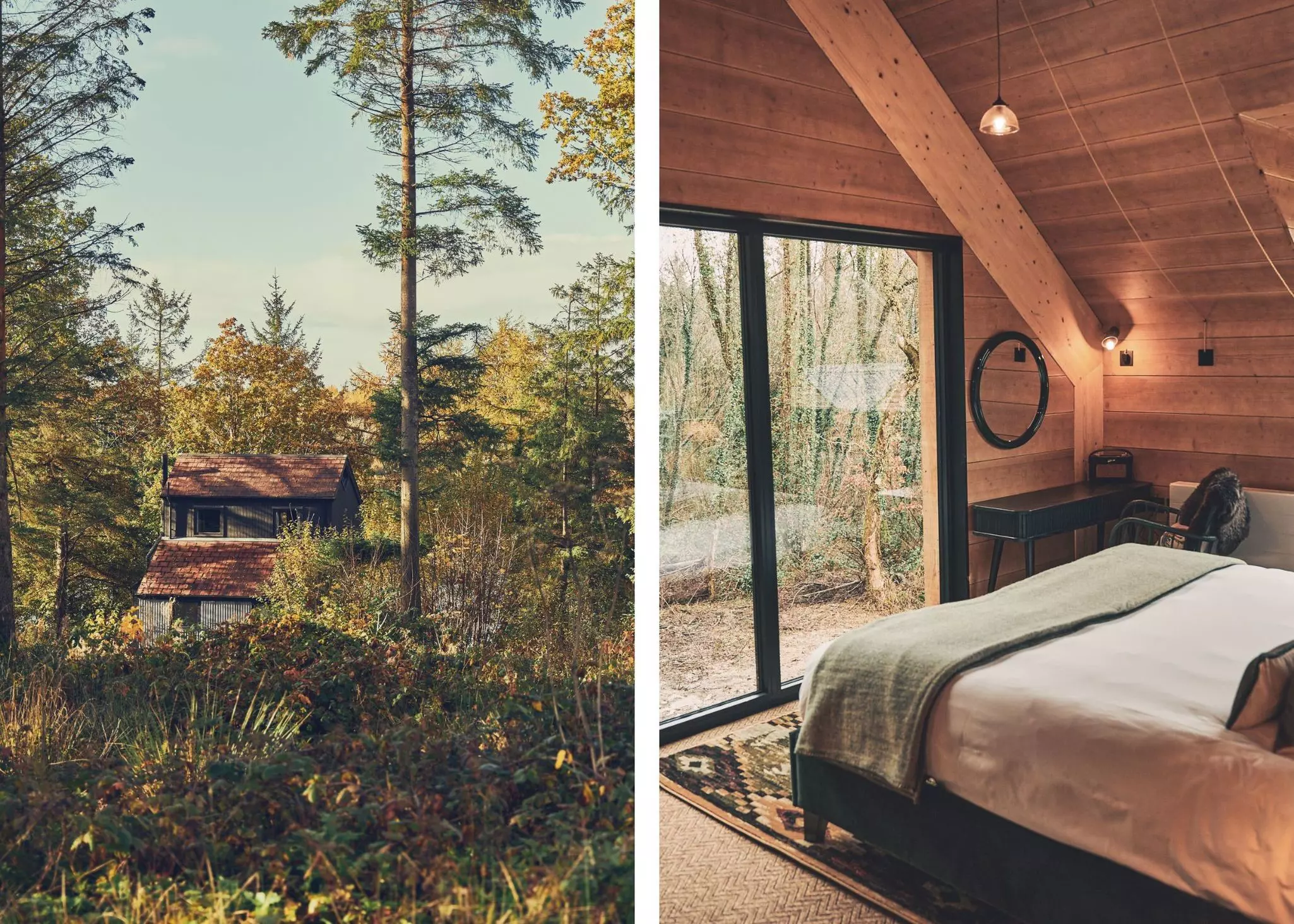 Left: A fall scene of a cabin in the woods with fall foliage. Right: A cozy cabin room with a bed and large windows looking out into the woods.