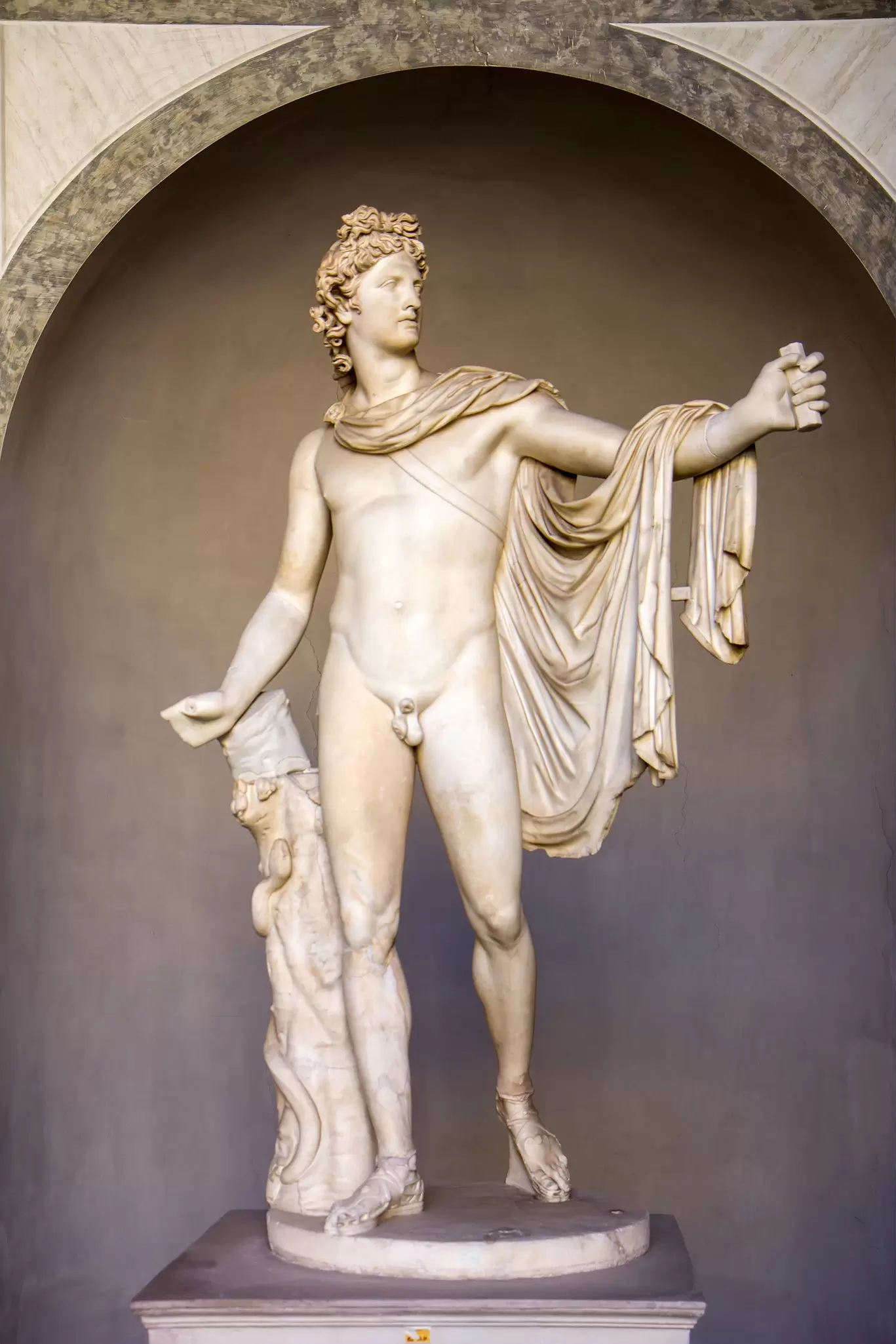 Ancient statue 'Apollo Belvedere' in the Vatican Museums in Vatican City, Rome, Italy.