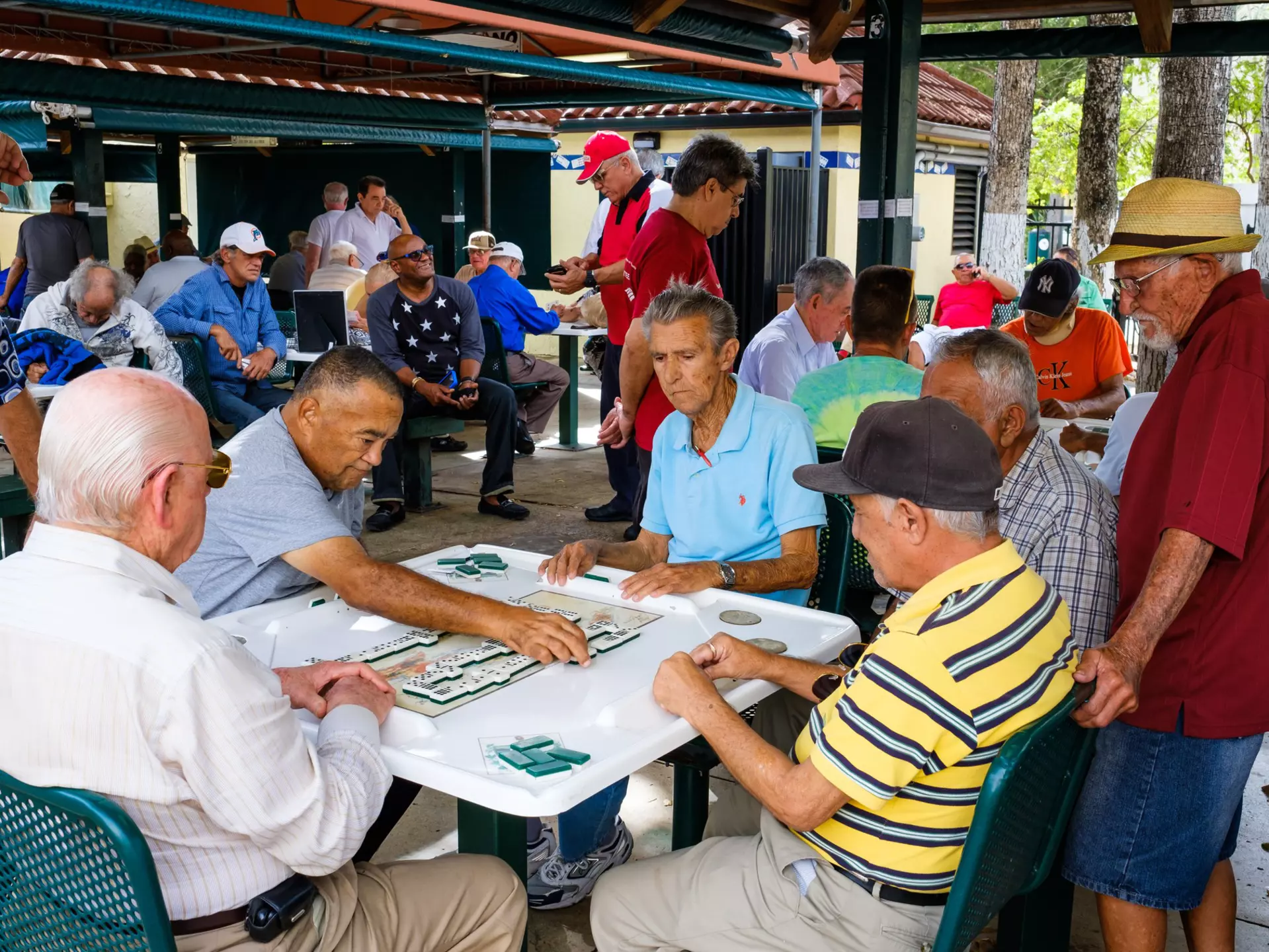 The Domino Park is a popular tourist destination in Little Havana to watch the elderly play domino.