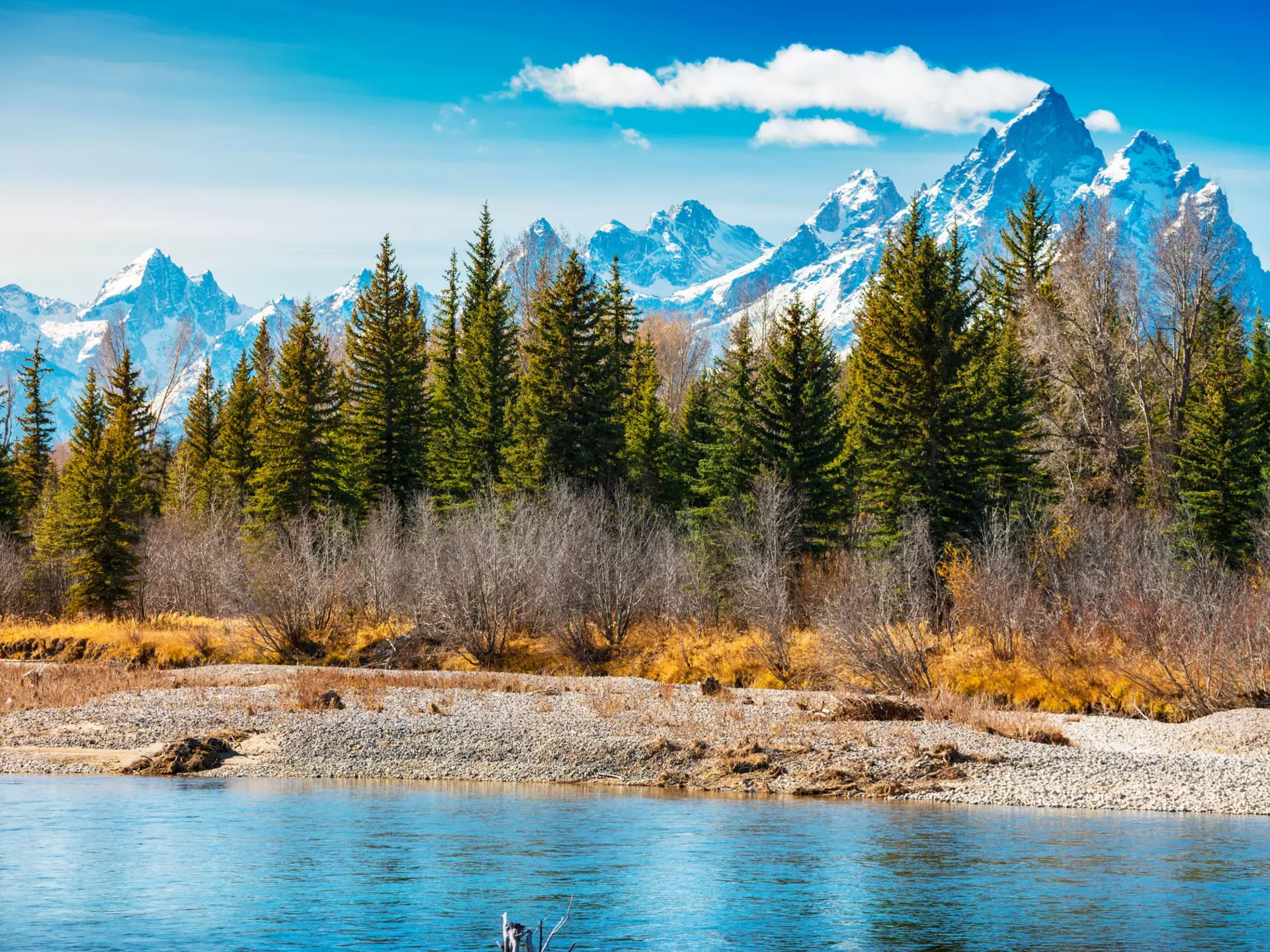 Grand Teton National Park, Wyoming. aphotostory/Shutterstock