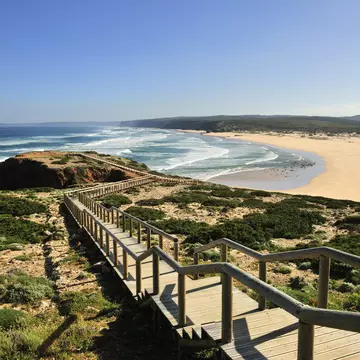 Long wooden walkway leading down to a low cliff overlooking a curved sandy coastline with the ocean beyond on a sunny day.