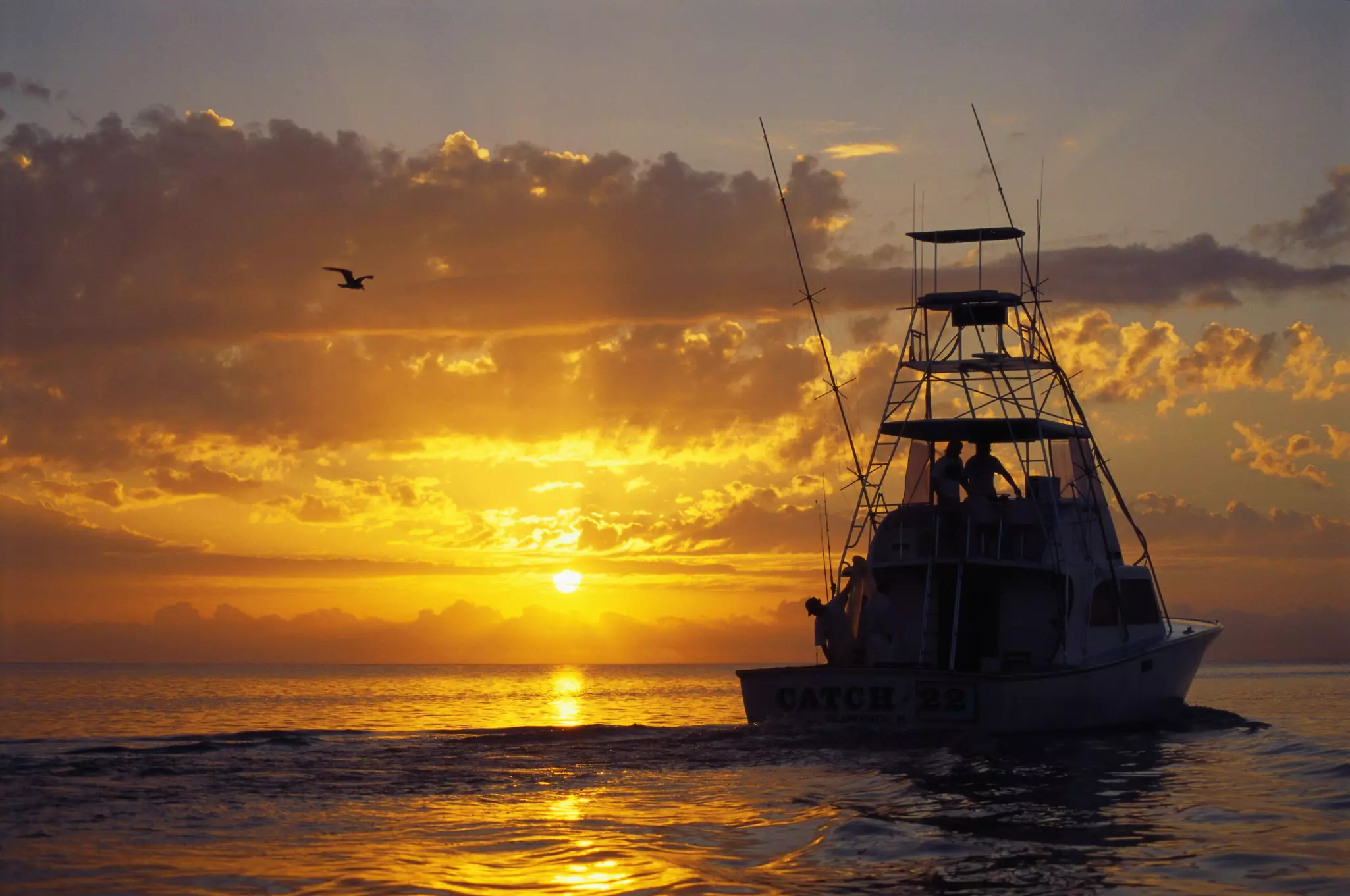 There’s no shortage of fishing charters in Islamorada, connecting you with the true iconic monsters like sailfish, blue marlin and swordfish © Getty Images