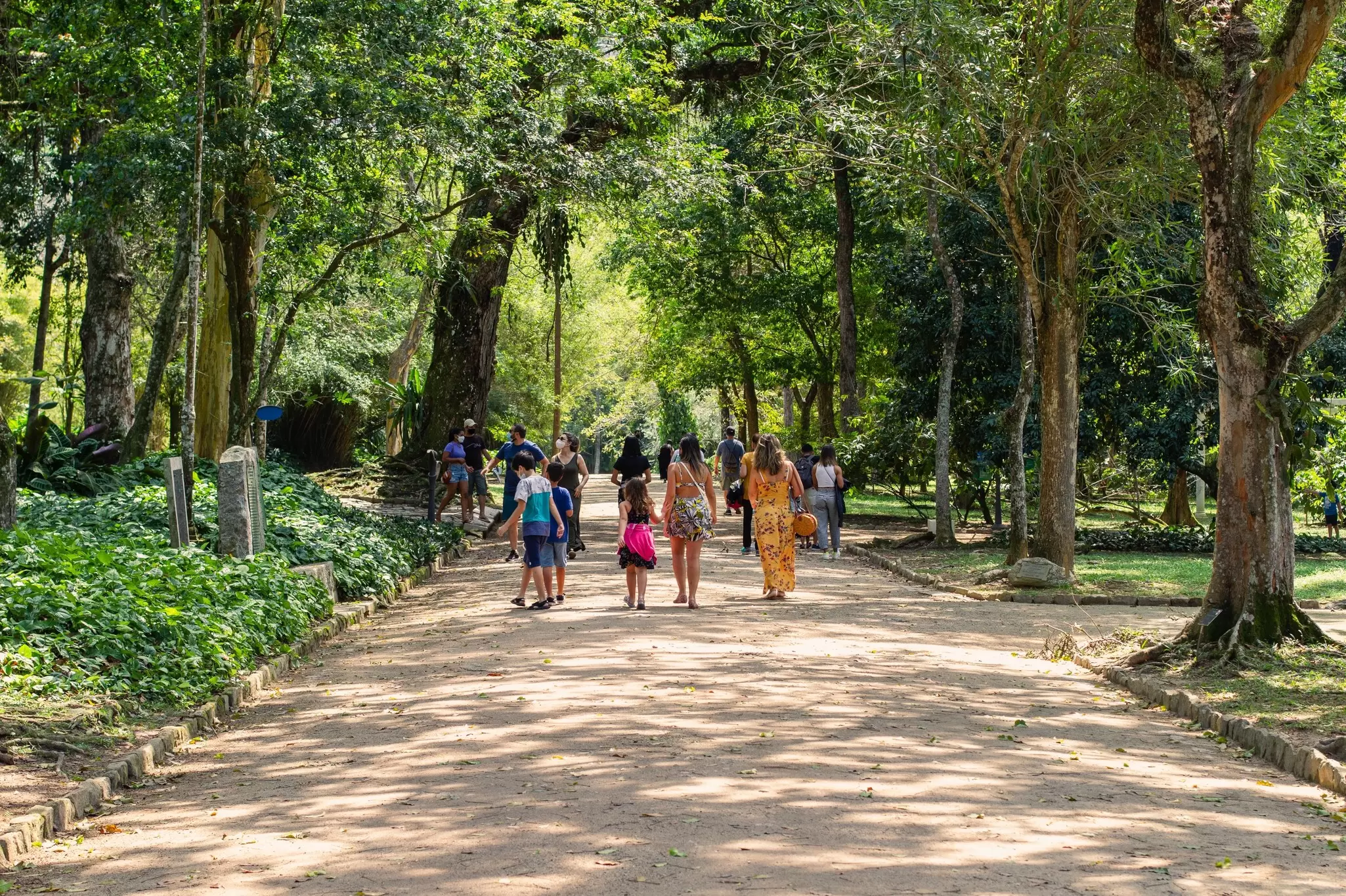 People walking in the Jardim Botânico on a sunny day in Rio de Janeiro, Brazil.