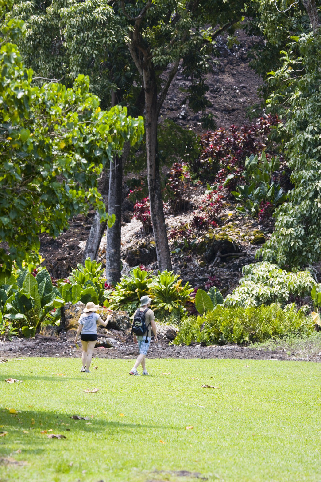 Kahanu Gardens,  Hana, East Maui.