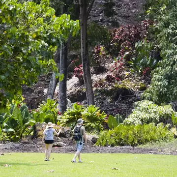 Kahanu Gardens,  Hana, East Maui.
