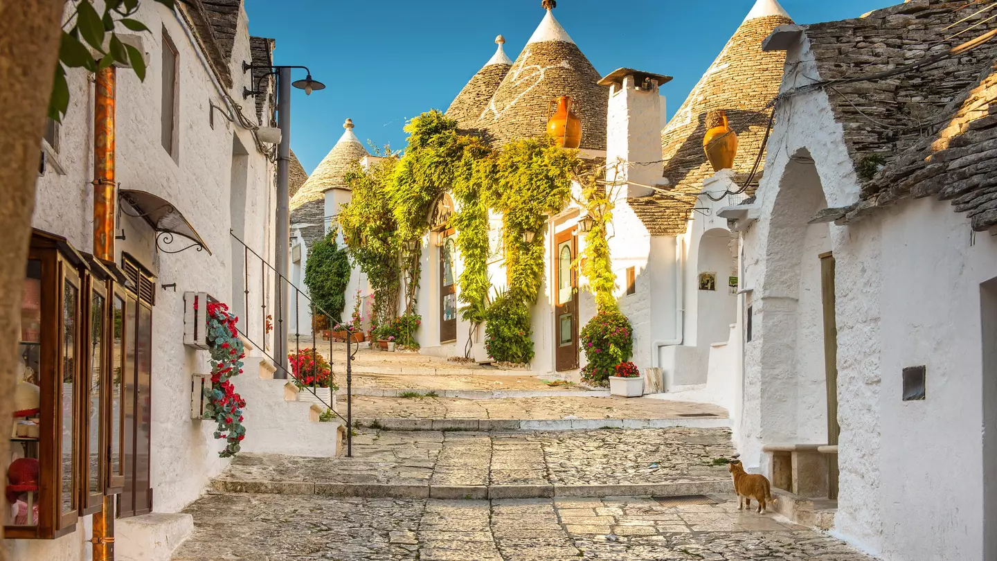 A cat looks up a picturesque street of trulli, with their conical roofs