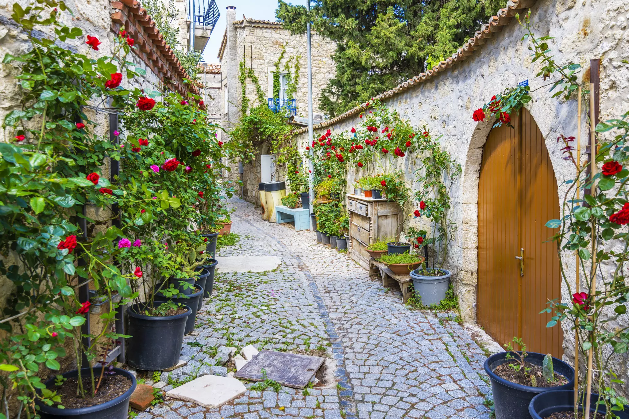 Narrow cobblestone street with flowers decorating the walls
